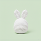 Kit Crochet Débutant | Donne vie à Rekkit le Lapin