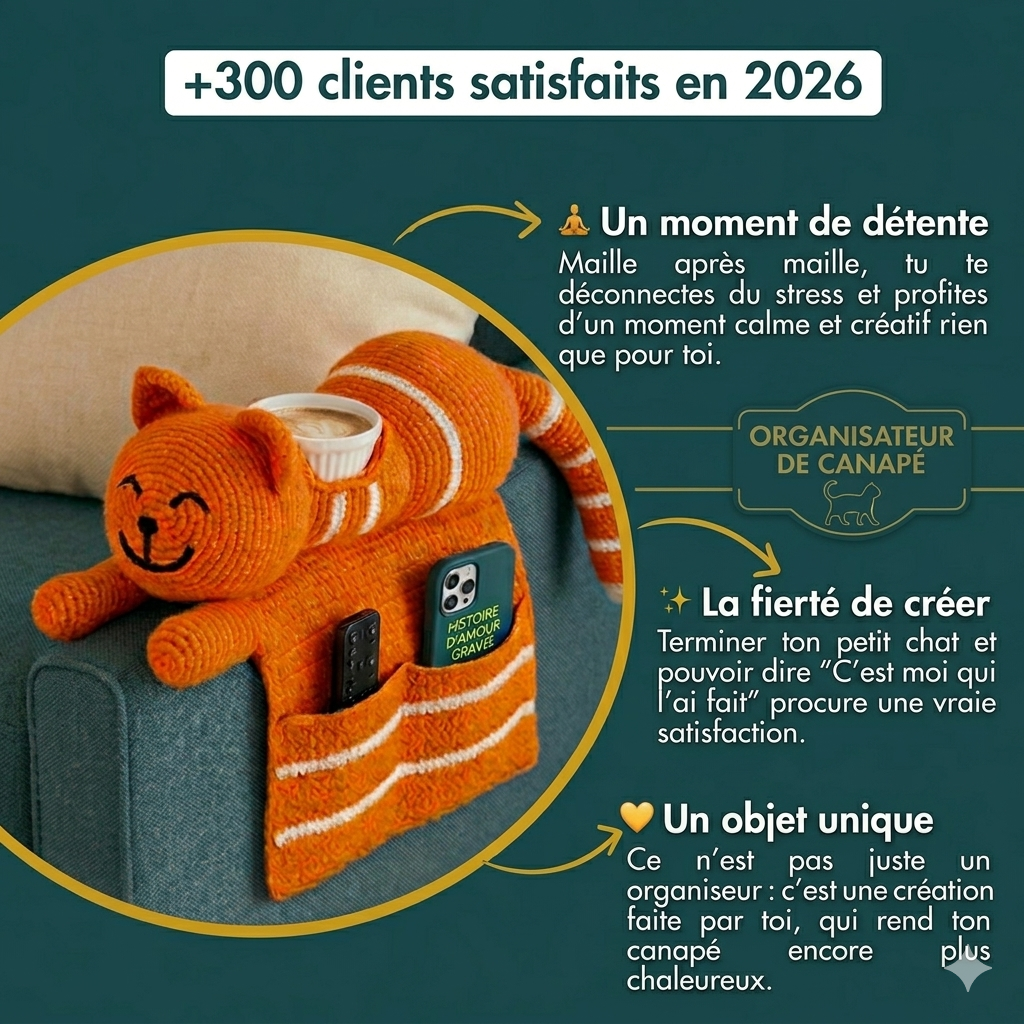Organiseur de canapé