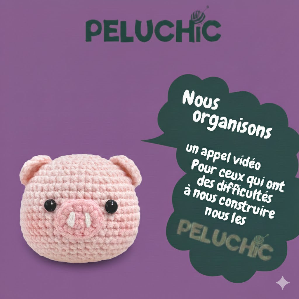 Kit crochet | Cochon amigurumi | Kit DIY débutant | MyPeluchic