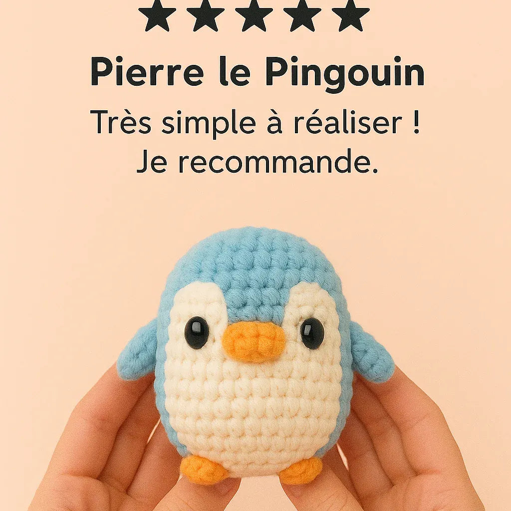 Kit Crochet Débutant | Donne vie à Pierre le Pingouin